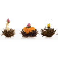 Gift-set-tea-flowers-with-teapot-black-tea