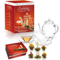 Teeblumen mit Teekanne und Teegläser, weißer Tee